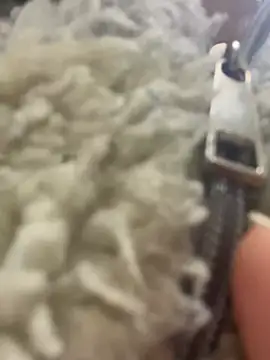 angell cooper8 online show from March 2026 12:19:01 PM