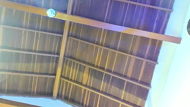 Snapshot of TonyPetrovjs chatting on February 2026 05:50:01 AM TonyPetrovjs online show from February 2026 05:50:01 AM