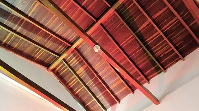 TonyPetrovjs online show from April 2026 06:00:02 AM