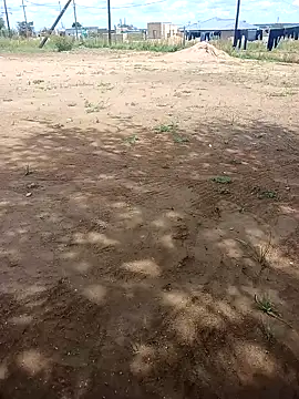 Snapshot of Dee-n-Dee_nyash chatting on February 2026 08:46:01 AM Dee-n-Dee nyash online show from February 2026 08:46:01 AM