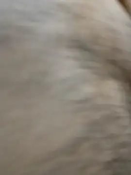 horny boy 45 online show from April 2026 04:20:02 PM