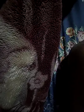 rmriya online show from February 2026 04:40:01 PM