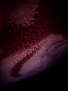 rmriya online show from March 2026 06:49:01 PM