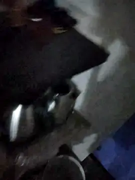 Snapshot of magicmovemen chatting on March 2026 11:10:01 PM magicmovemen online show from March 2026 11:10:01 PM