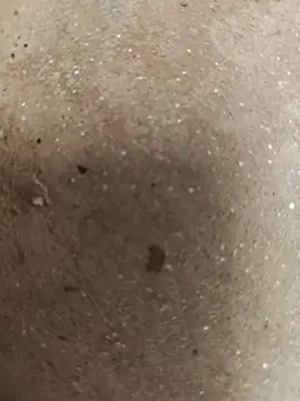 Snapshot of 67sanju chatting on March 2026 04:07:02 AM 67sanju online show from March 2026 04:07:02 AM