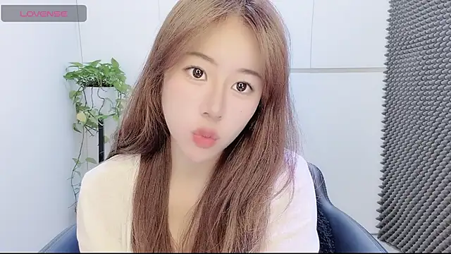 Baixi-01 online show from July 2026 04:25:01 AM