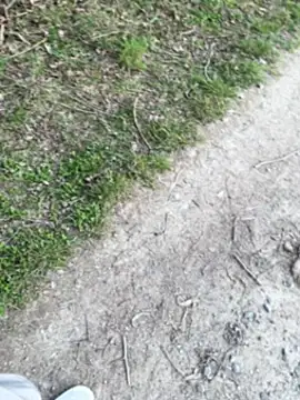 aras  25 online show from March 2026 02:43:01 PM