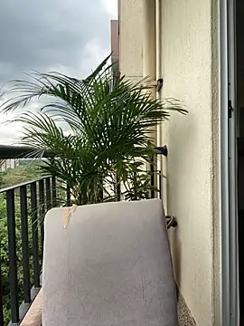 Pamela222- online show from March 2026 05:32:01 PM