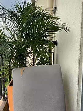 Pamela222- online show from March 2026 07:42:02 PM