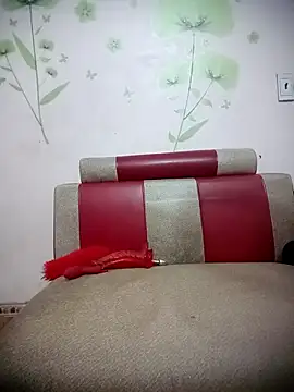 Meow cute online show from March 2026 04:07:02 PM