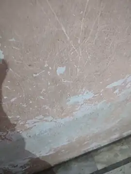 Tamillaxmi12 online show from April 2026 12:44:02 AM