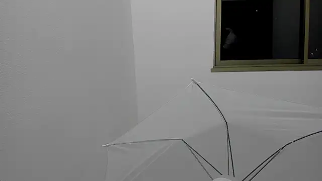 Mnell28 online show from March 2026 06:31:02 AM