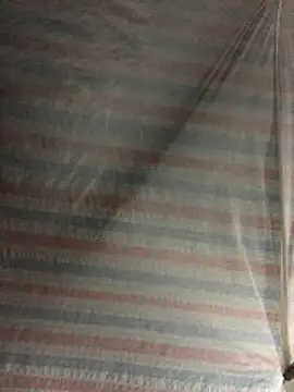 TieuVy99 online show from April 2026 02:48:02 PM