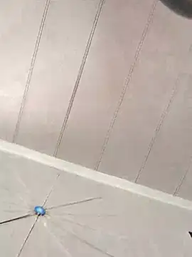 Snapshot of CirclingClass chatting on March 2025 08:16:01 PM CirclingClass online show from March 2025 08:16:01 PM