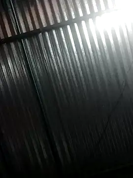 bombom 20 online show from March 2026 11:32:01 AM