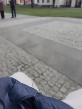 PublicMarekFlashDick online show from March 2026 02:38:01 PM