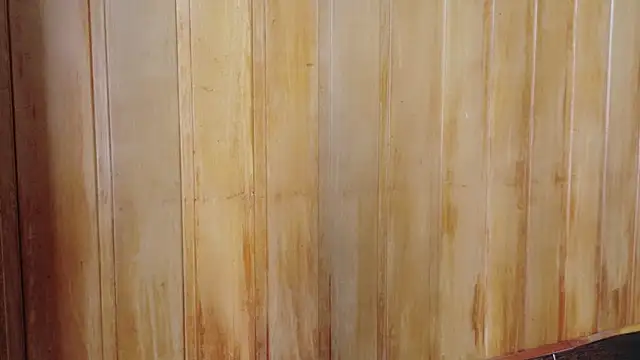 Eliffe jhonson online show from March 2026 12:09:01 PM