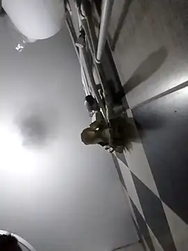 luys23 online show from April 2026 03:05:01 AM