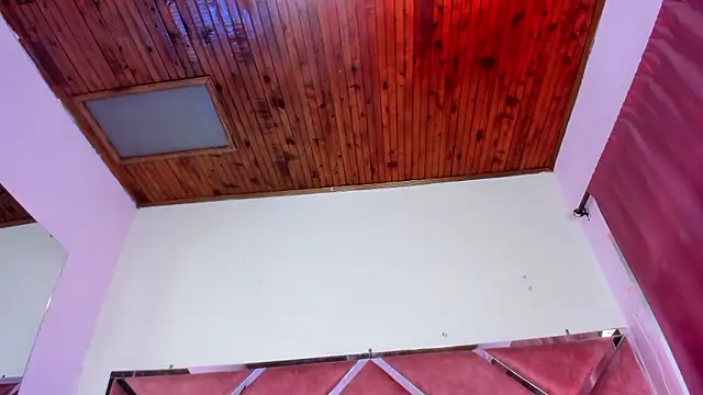 Megan Dangelo online show from March 2026 12:33:02 PM