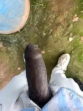 sanju 5418 online show from April 2026 05:54:01 AM