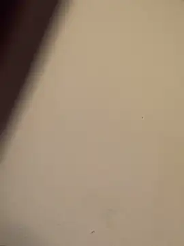 buivali00 online show from March 2026 11:38:01 AM