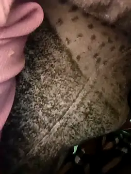 Snapshot of Cute__soniya143 chatting on March 2026 05:44:02 AM Cute soniya143 online show from March 2026 05:44:02 AM