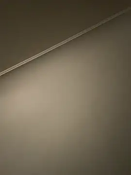 asnszn online show from March 2026 07:34:02 AM