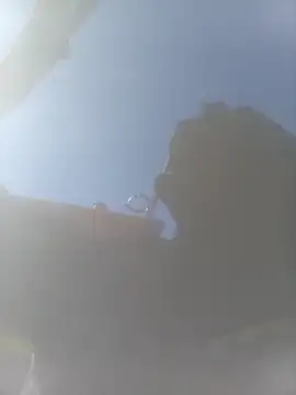 pervertidonegro online show from March 2026 12:42:02 PM