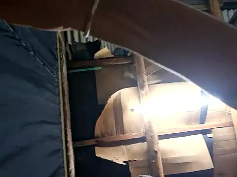 ThiagoM2002 online show from March 2026 03:56:01 AM