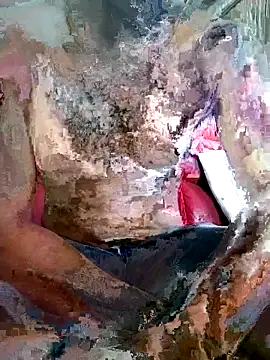 Snapshot of SteedyGee chatting on March 2026 09:32:02 AM SteedyGee online show from March 2026 09:32:02 AM