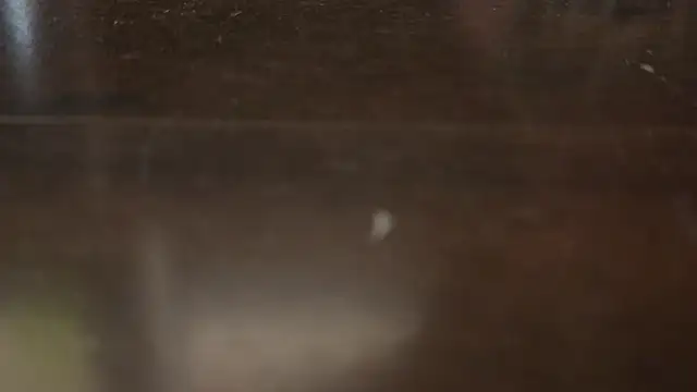 geiler-arsch online show from August 2026 06:28:02 AM