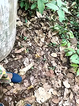 Chandni78 online show from April 2026 07:50:02 AM