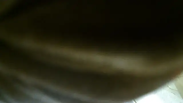 mrhotnotmiss online show from March 2026 11:44:02 AM