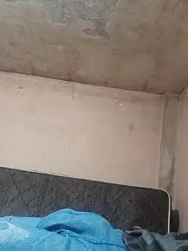 Snapshot of Alcon347 chatting on April 2026 01:16:01 AM Alcon347 online show from April 2026 01:16:01 AM