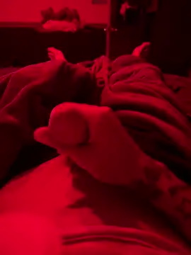 Dstat715 online show from April 2026 06:02:01 AM