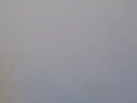 Daniellesafada online show from May 2026 12:16:01 AM