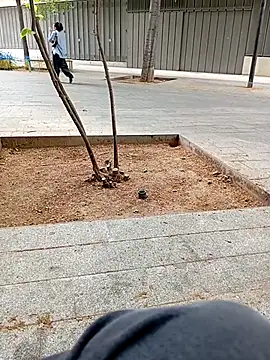 biga00 online show from April 2026 03:38:02 PM