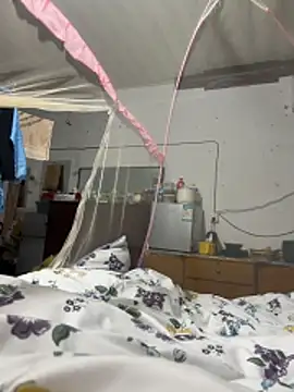 sakunx2028 online show from April 2026 12:05:02 PM