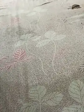 pujaji098 online show from April 2026 04:07:01 AM