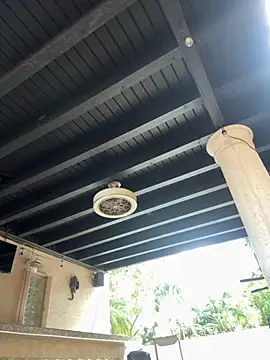 youngwildfreee online show from April 2026 08:25:02 PM