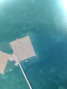 maicol6699 online show from April 2026 05:11:01 AM