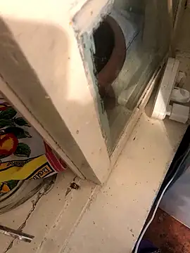 katilikat online show from April 2026 11:41:01 PM