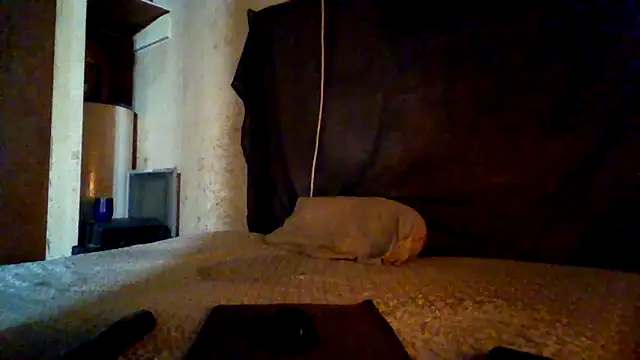 Nightshade1195 online show from May 2026 07:32:01 PM