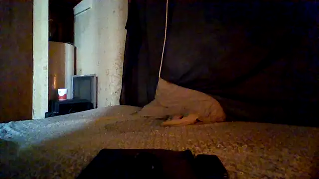 Nightshade1195 online show from May 2026 05:54:02 PM