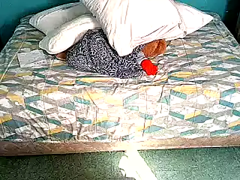 Indian blaze006 online show from July 2026 10:11:01 AM