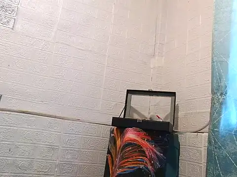 DivesOmnibus online show from May 2026 01:56:01 AM