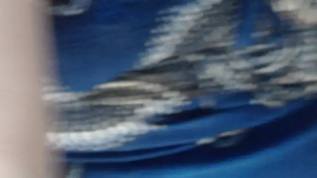 MaevenNectar online show from May 2026 05:13:01 AM
