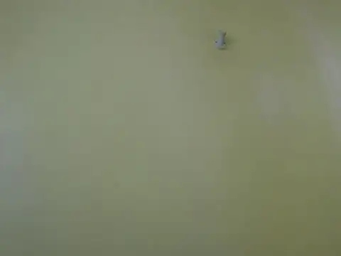 Cuteebony16 online show from June 2026 01:03:02 PM