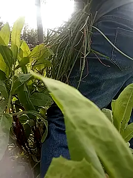 Heryy xx online show from June 2026 09:12:02 AM