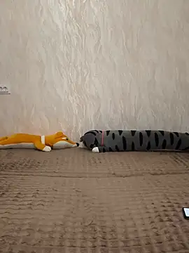 Love  beby online show from June 2026 09:37:01 PM